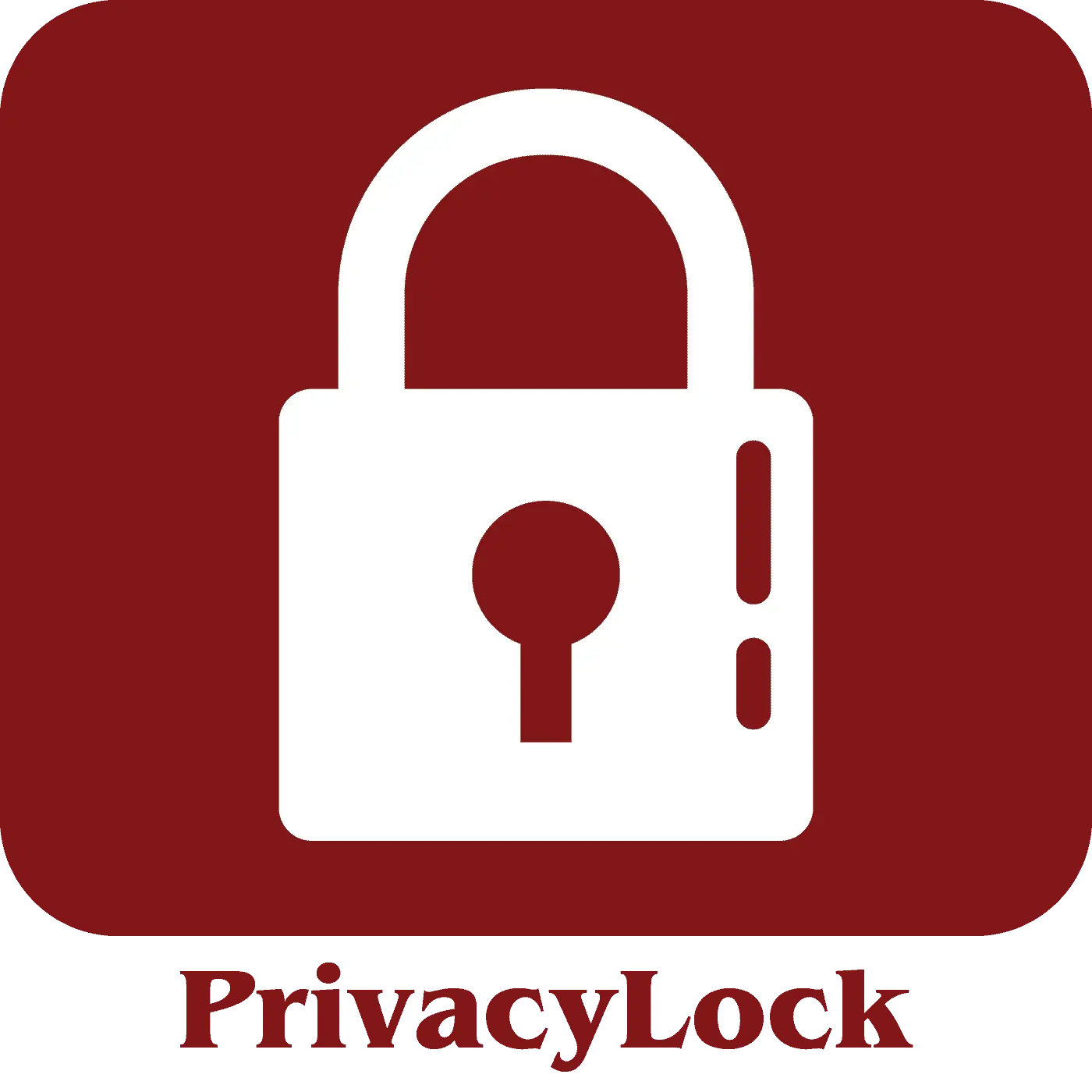 PrivacyLock Vinyl Fence