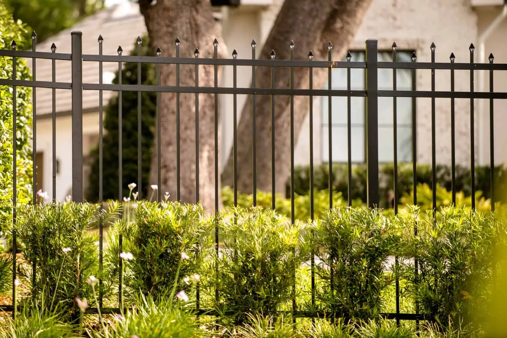 Does a Mount Dora Fence Company Offer Competitive Pricing?