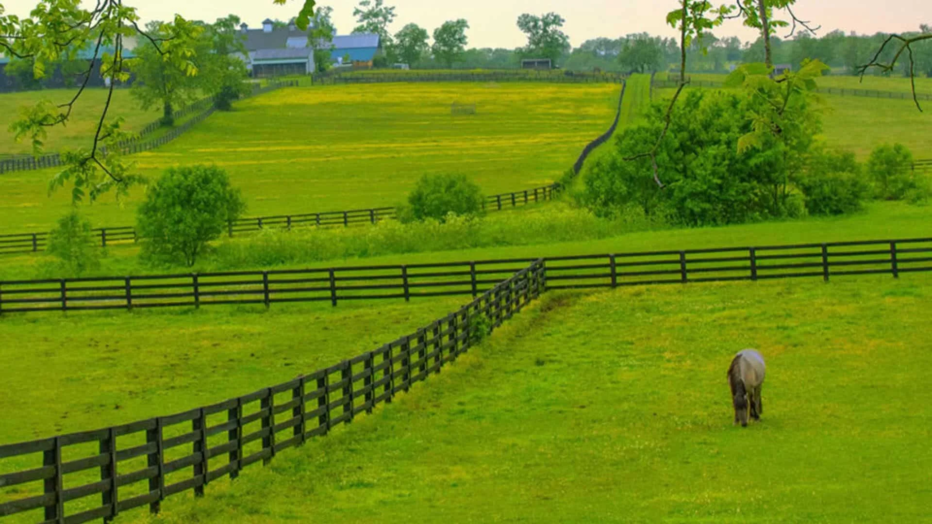 Choosing Superior Fence &#038; Rail Of Chattanooga As Your Horse Fence Builders Just Makes Good Horse Sense!