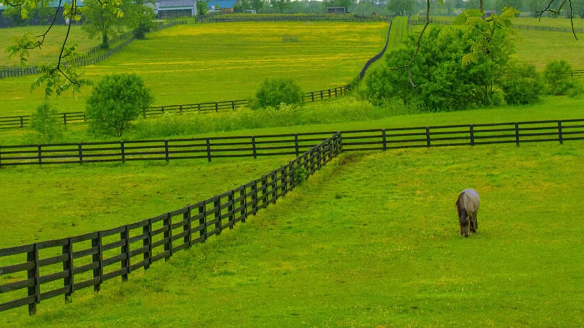 What Makes a Good Kentucky 4 Board Fence?