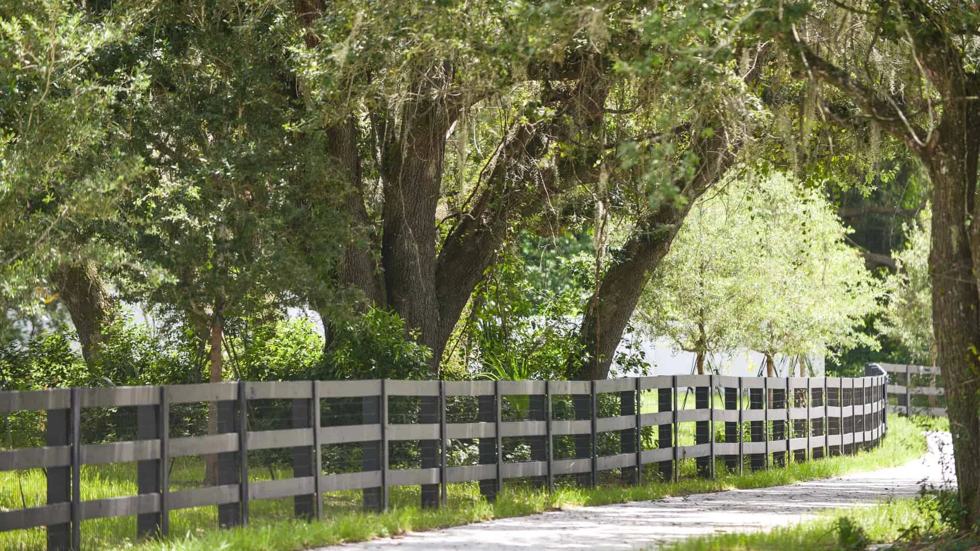 Where to Find the Best Livestock Fencing Contractors Near Me