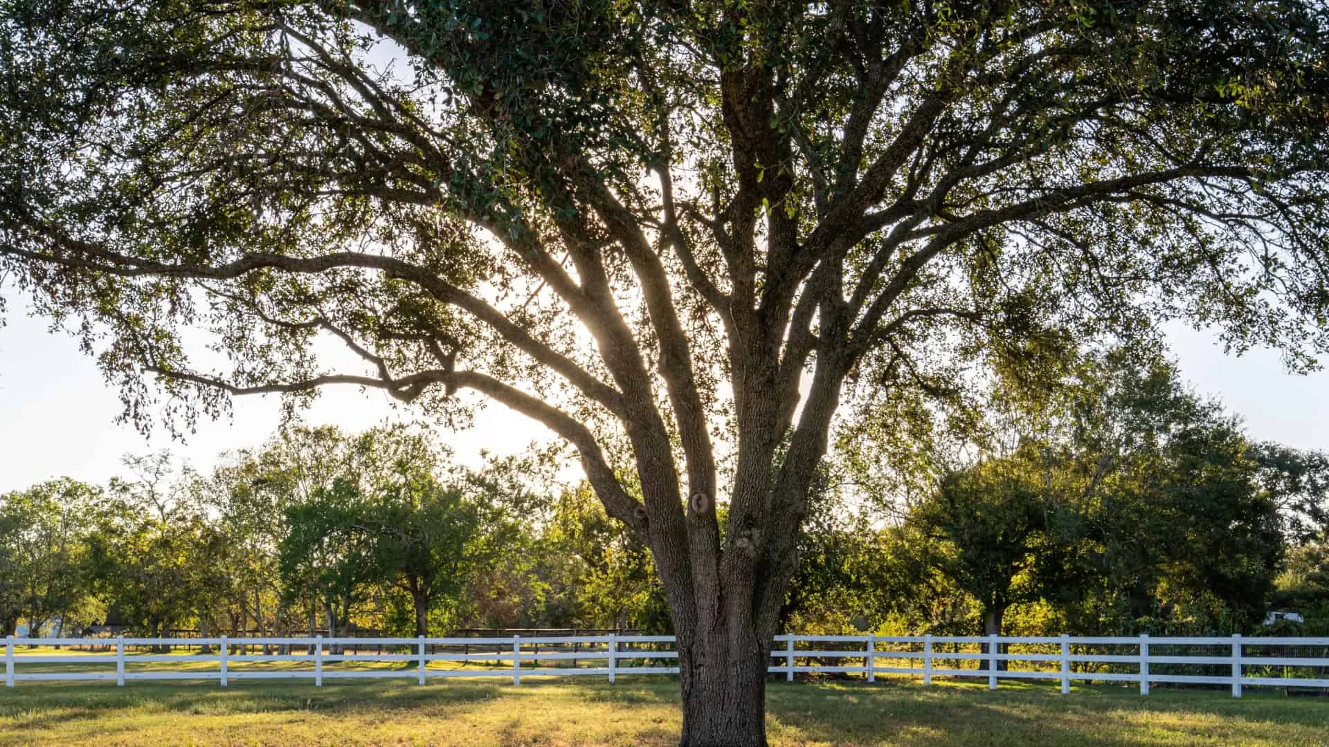 Discover the Perfect Ranch Fence for Your Treasure Valley Property