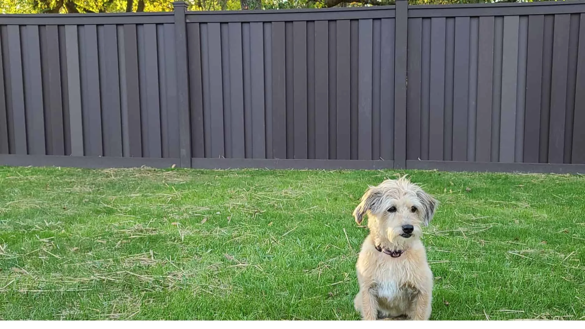 If You’re Looking For Composite Fence Near Me, It’s Superior Fence &#038; Rail Of Salt Lake City