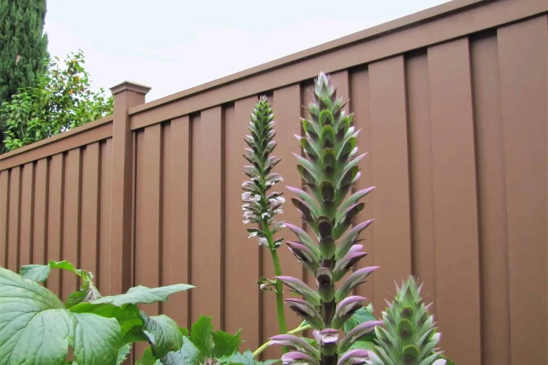 Berthoud Fence Company